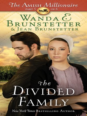 cover image of The Divided Family